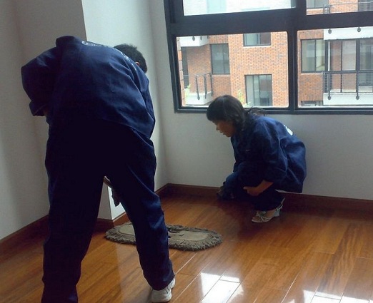 案例展示